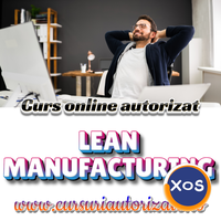 Curs online autorizat Lean Manufacturing - 1