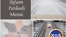 Lustruim, finisam pardoseli din mozaic